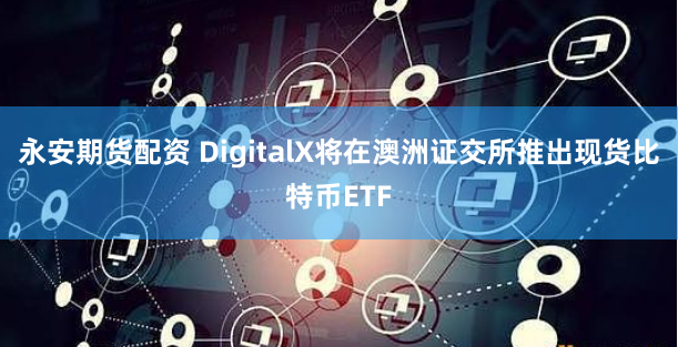 杠杆江湖：配资网平台的生存法则与财富密码