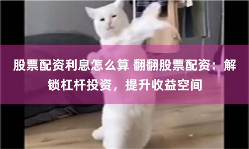 《巨富配资官网探秘：从数据迷雾到投资真相》